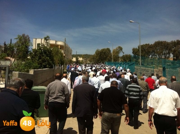 tashye3 04007 (5).jpg